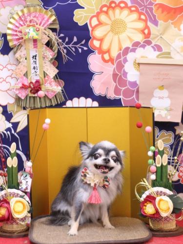 20240127クオンくん 